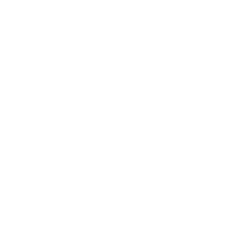 Eric Meier - Steinbildhauer Logo