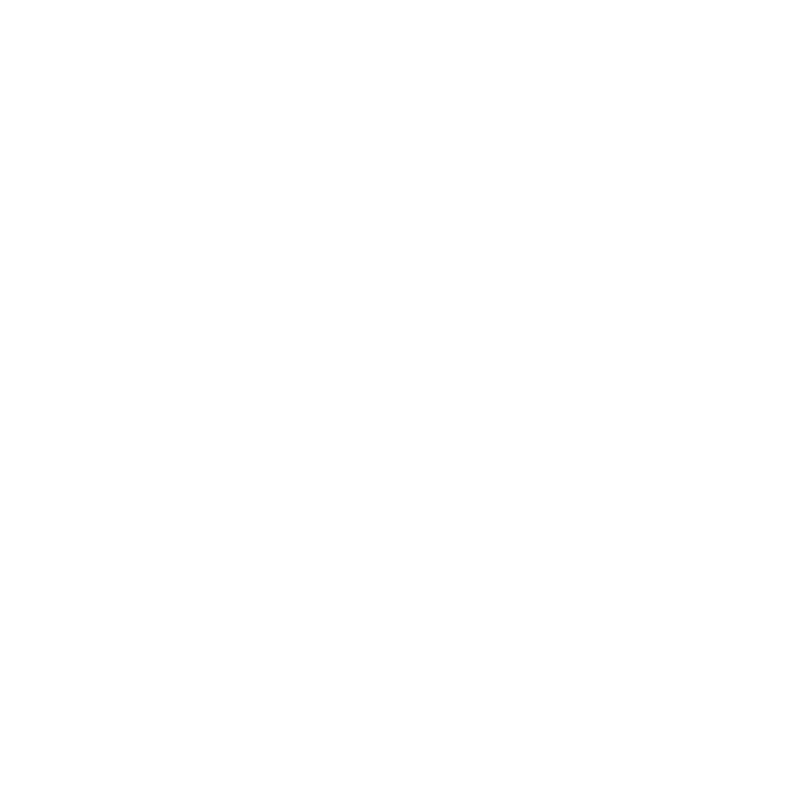 Shanti Enterprise Logo