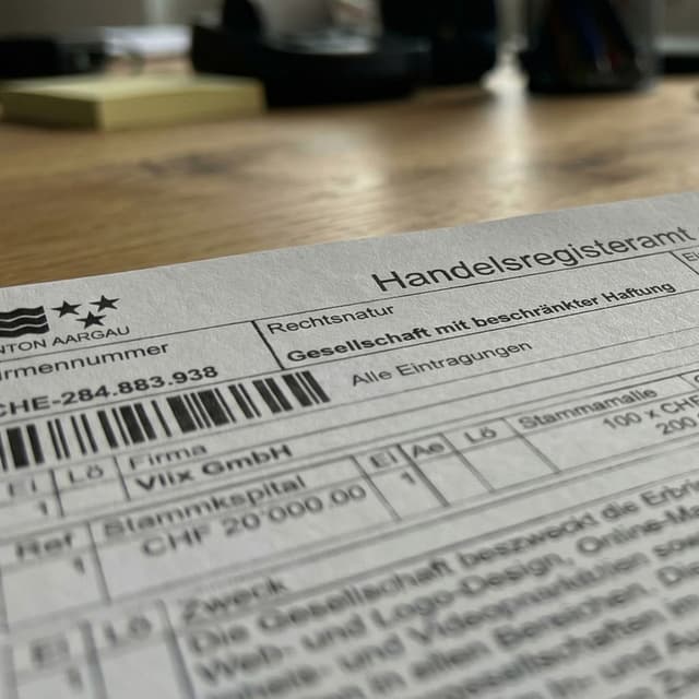 Gründung Vlix GmbH – Meilenstein von Vlix Webdesign