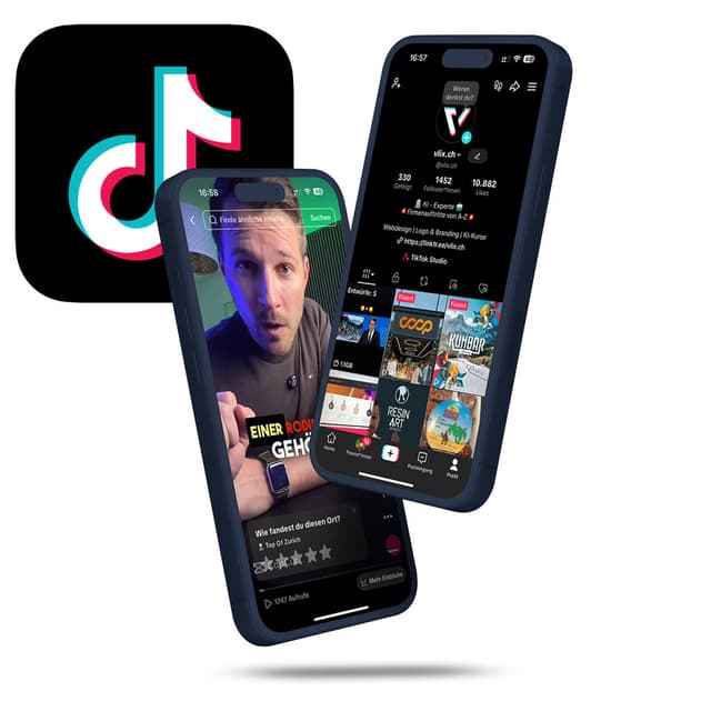 1. TikTok Videos – Meilenstein von Vlix Webdesign