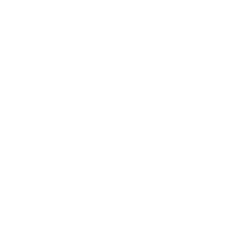 Driveswiss AG Logo